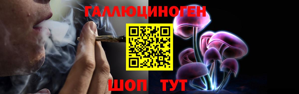 Избербаш  купить наркотик  Вход с VPN  Псилоцибиновые грибы MAGIC MUSHROOMS  Галлюциногенные грибы Psilocybe 